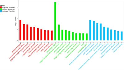 Transcriptome Analysis of Newly Emerged Honeybees Exposure to Sublethal Carbendazim During Larval Stage